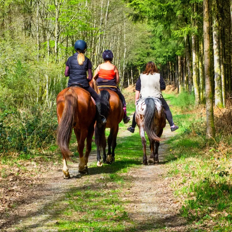 Passeggiate a cavallo