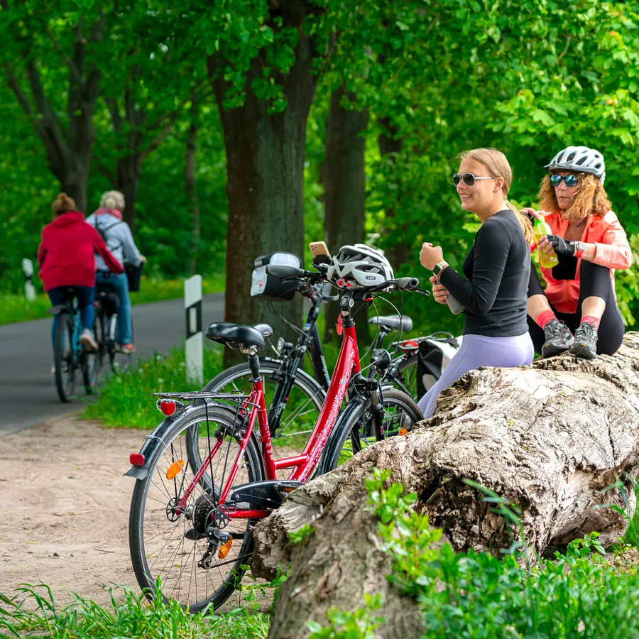 Cicloturismo &amp; Bike