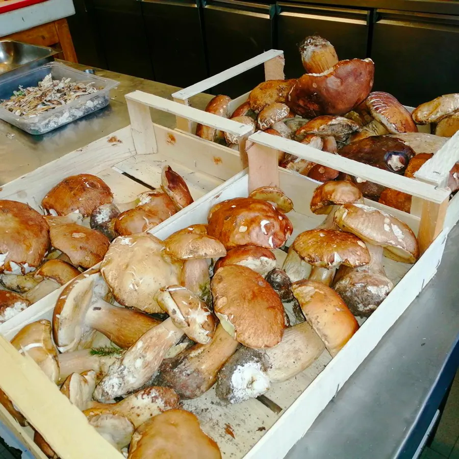 Sassello Tour Experience