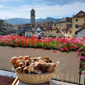 &Eacute;t&eacute; de f&ecirc;tes et traditions &agrave; Sassello